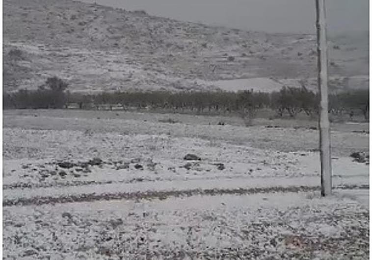 Nieve en la pedanía moratallera de Los Odres.