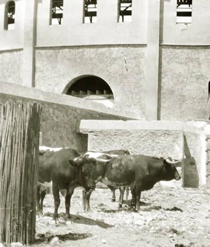 Secondary image 2 - The plaza was inaugurated in 1907 with a bullfight by the Arriba Hermanos cattle ranch, which was fought by the right-handers Enrique Vargas 'Minuto', Manuel Mejías 'Bienvenida' and José Moreno 'Lagartijillo Chico'.  The capacity was 7,000 seats.