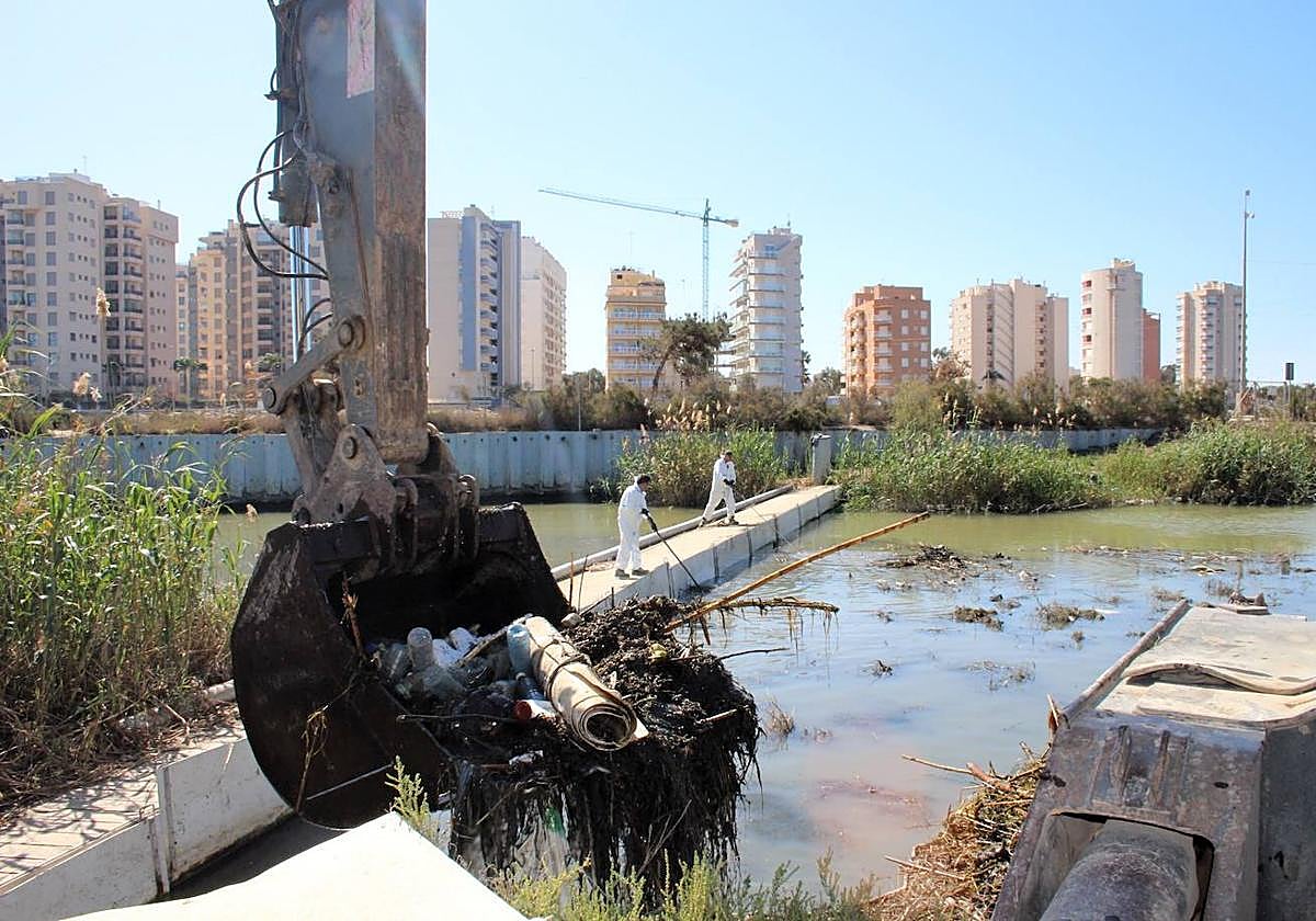 Retirada de residuos del cauce del río Segura.