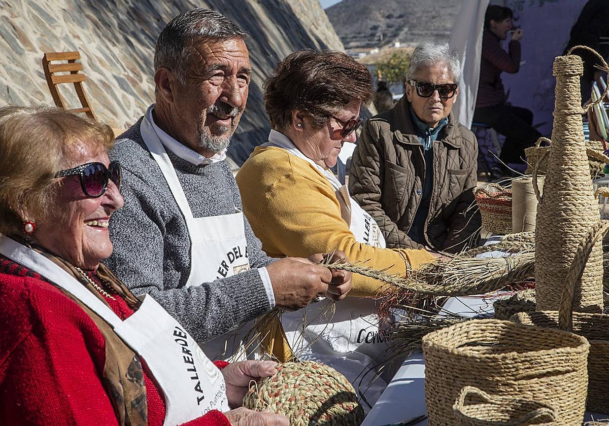 El esparto florece en la zona oeste de Cartagena
