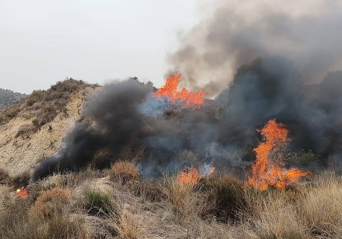 Incendio en Lorca, este domingo.