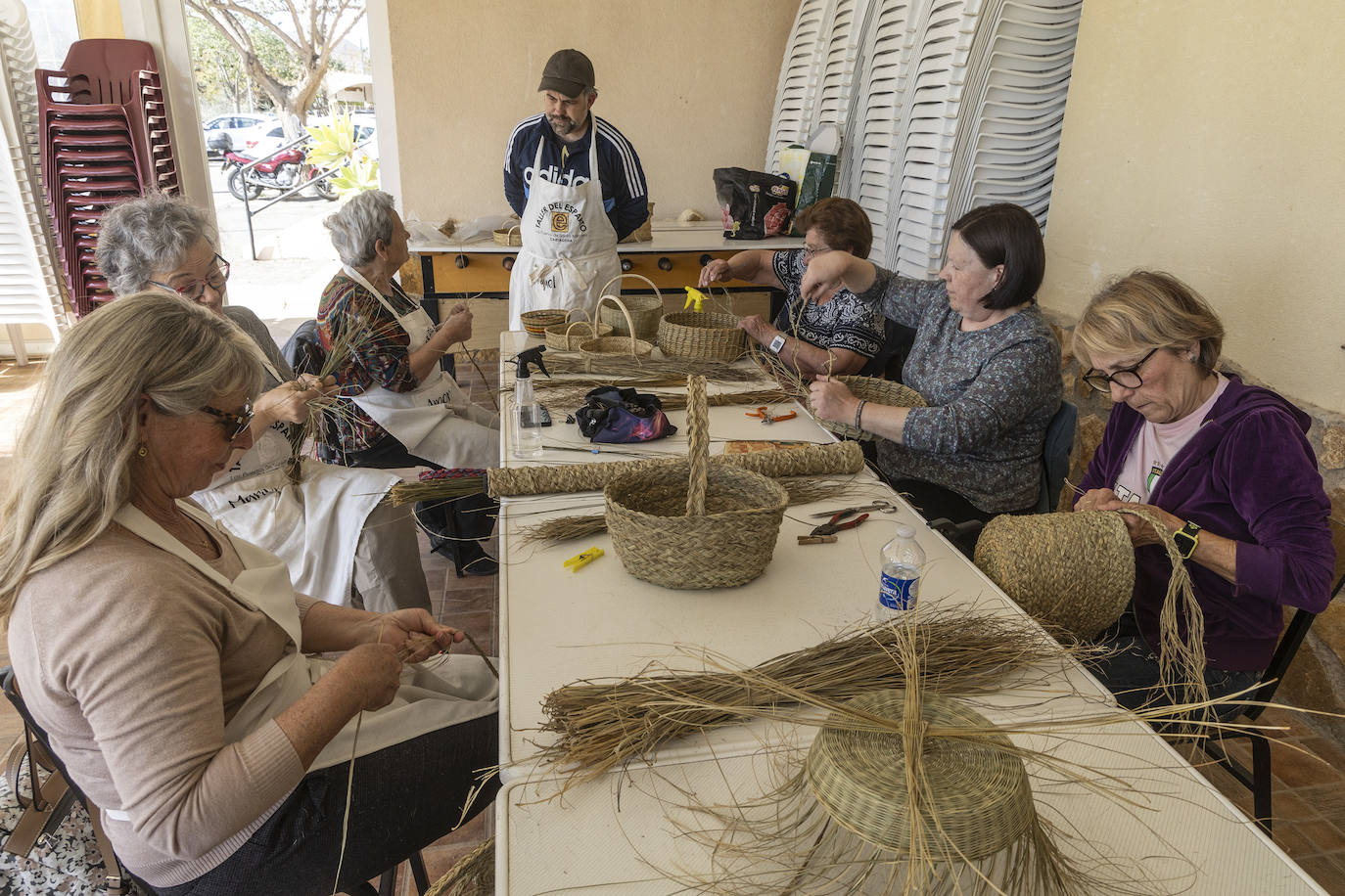El esparto florece en la zona oeste de Cartagena
