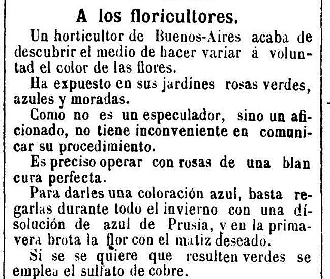El periódico 'La Paz' hizo referencia en 1891 a rosas que ya se cultivaban en Murcia.