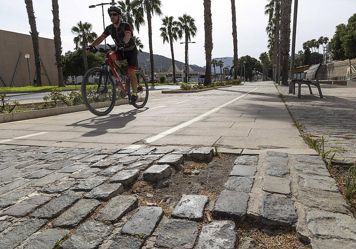 Desperfectos en un carril bici de Cartagena en una imagen de archivo.
