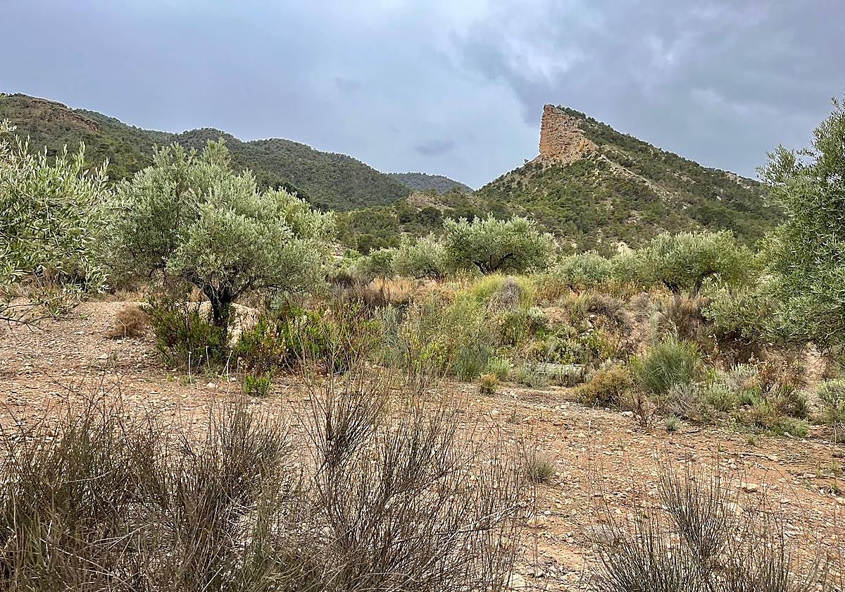 La finca La Quinquilla, en Lorca, integrada en la red de la Asociación para la Custodia del Territorio y el Desarrollo Sostenible
