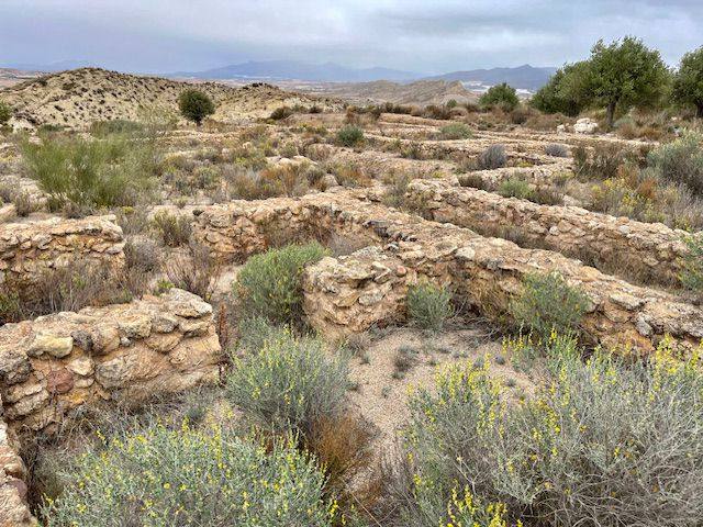 Restos de la villa romana La Quintilla