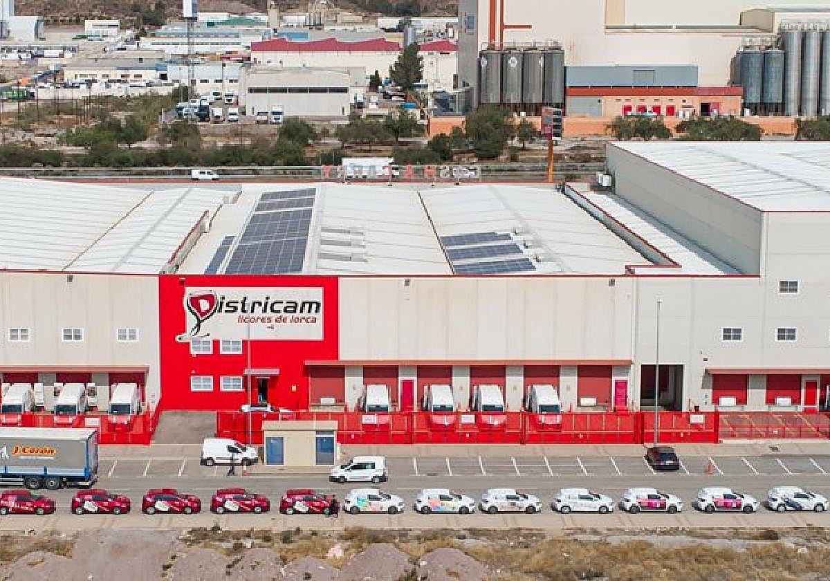 Instalaciones de la empresa en Polígono Industrial Saprelorca.