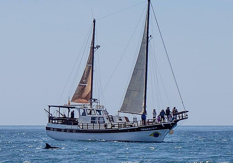 Los excursionistas a bordo del barco Karyam.