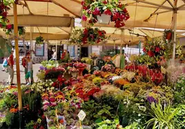 Mercado de las Flores y la comida en Piazza Campo de Fiori.