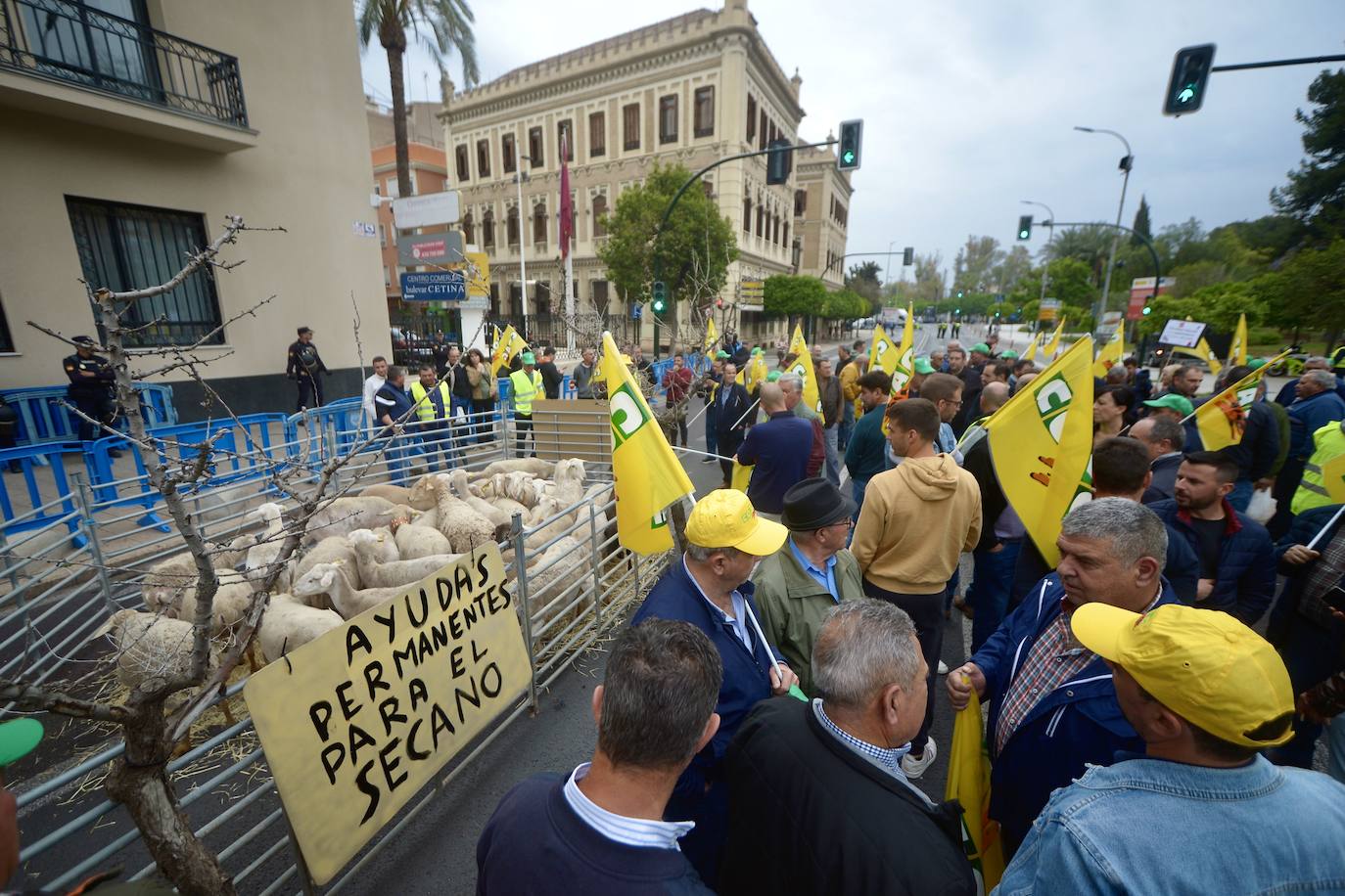 La protesta de agricultores y ganaderos de las zonas de secano ante la Delegación del Gobierno, en imágenes