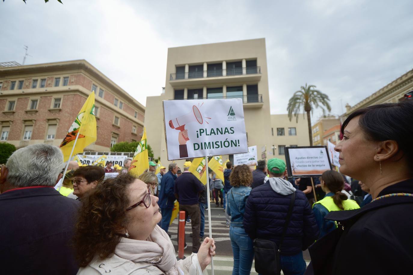 La protesta de agricultores y ganaderos de las zonas de secano ante la Delegación del Gobierno, en imágenes