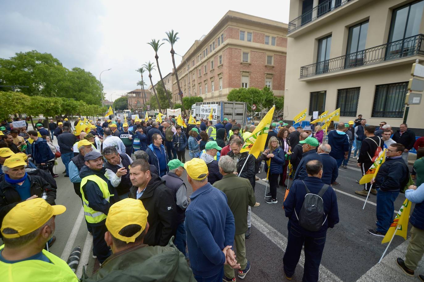 La protesta de agricultores y ganaderos de las zonas de secano ante la Delegación del Gobierno, en imágenes