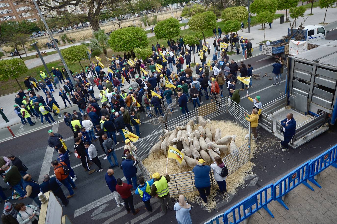 La protesta de agricultores y ganaderos de las zonas de secano ante la Delegación del Gobierno, en imágenes