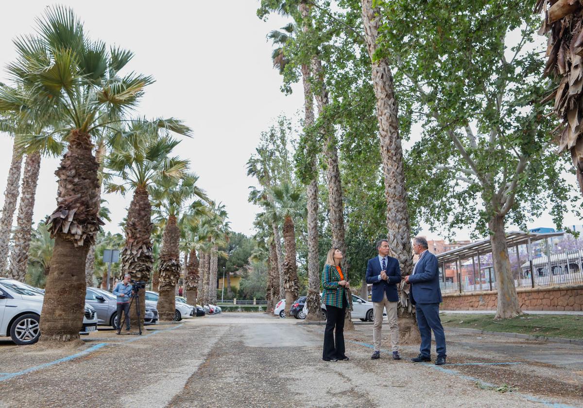 El alcalde junto a los ediles de Fomento y Agricultura en la zona afectada por la tala de árboles.