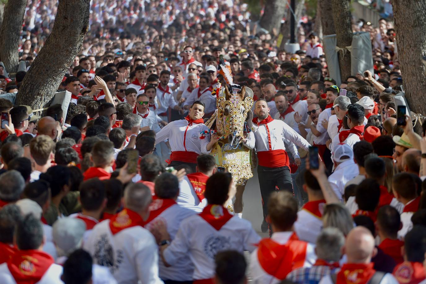 La carrera de los Caballos del Vino, en imágenes