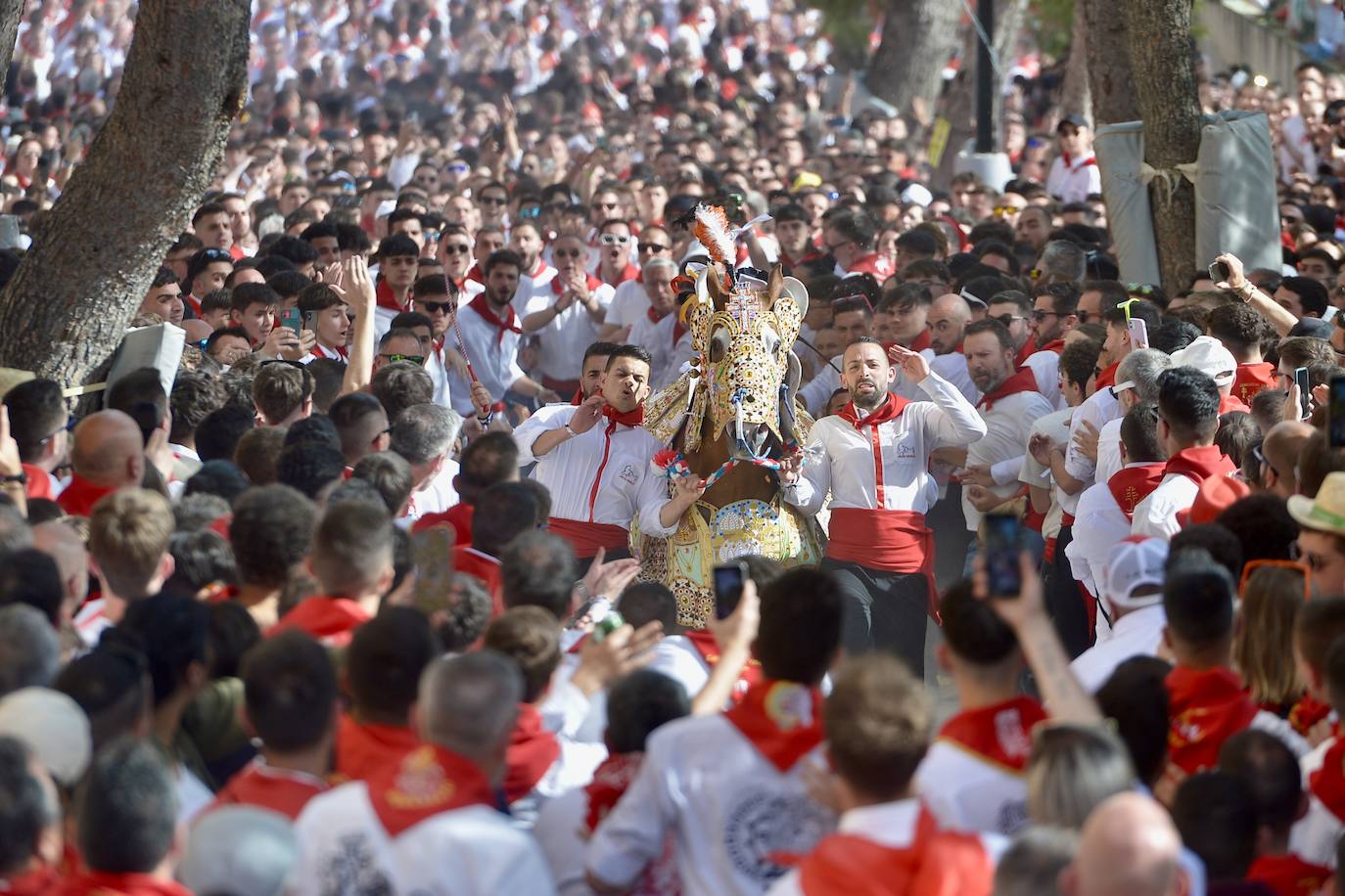 La carrera de los Caballos del Vino, en imágenes