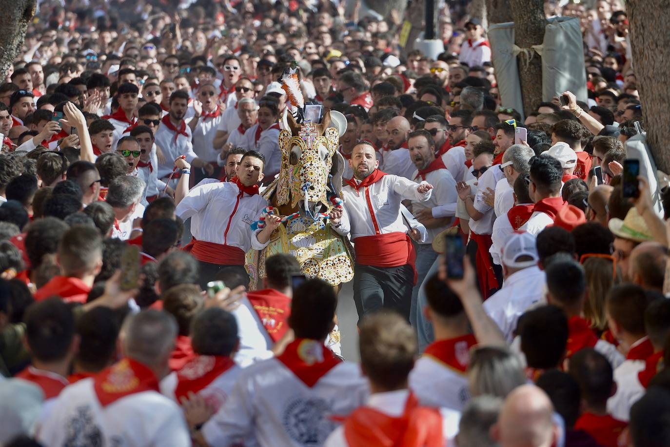 La carrera de los Caballos del Vino, en imágenes