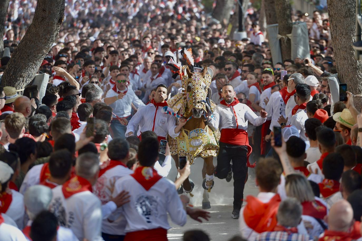 La carrera de los Caballos del Vino, en imágenes