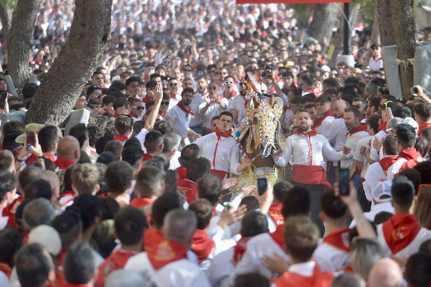La carrera de los Caballos del Vino, en imágenes