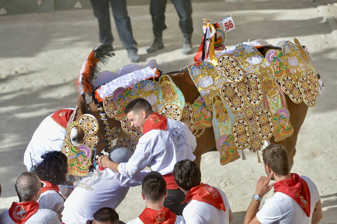 La carrera de los Caballos del Vino, en imágenes