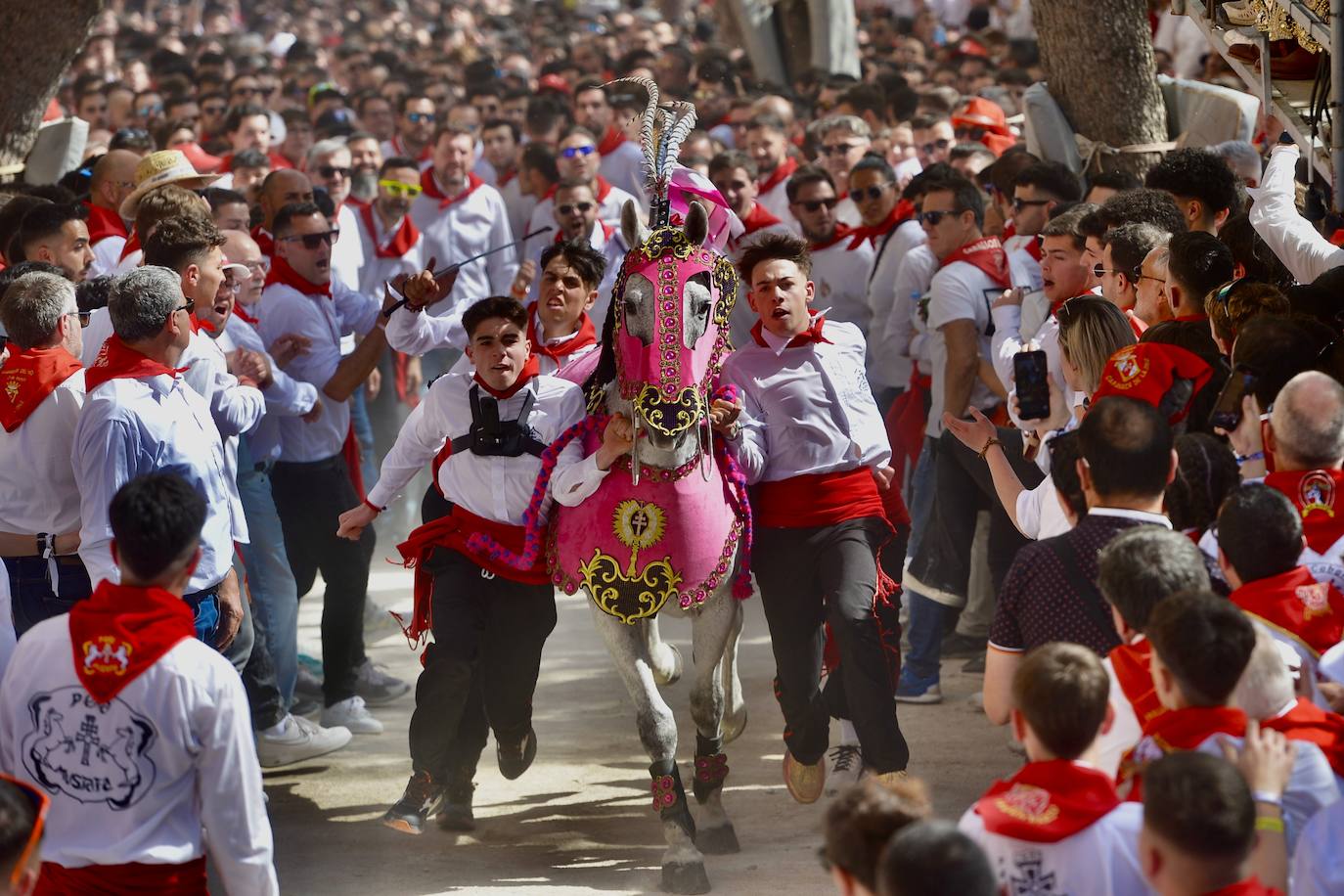 La carrera de los Caballos del Vino, en imágenes