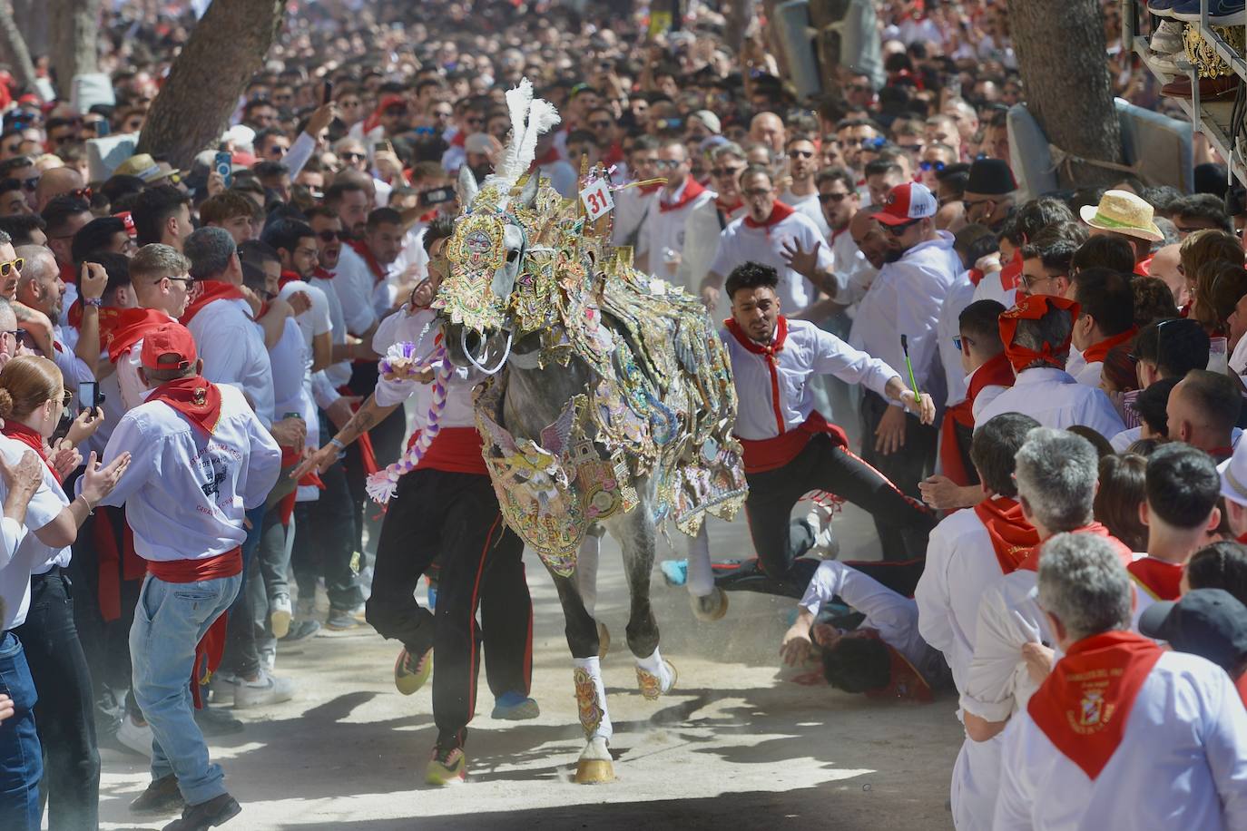 La carrera de los Caballos del Vino, en imágenes