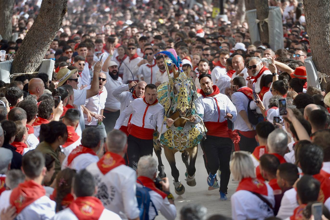La carrera de los Caballos del Vino, en imágenes