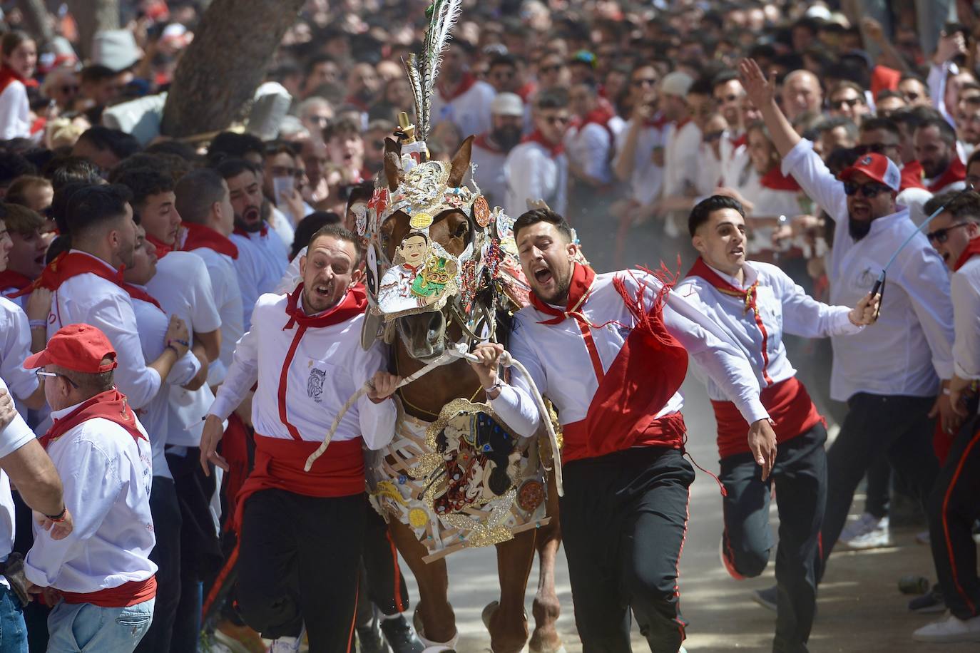 La carrera de los Caballos del Vino, en imágenes
