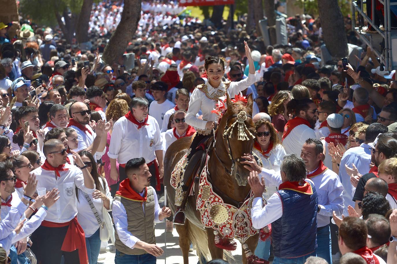 La carrera de los Caballos del Vino, en imágenes