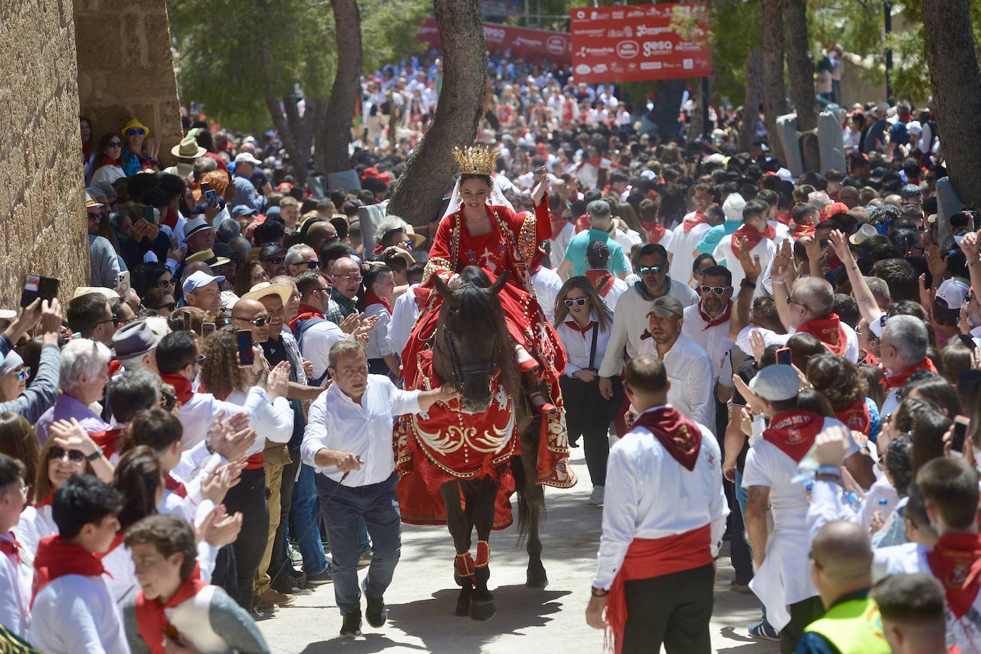 La carrera de los Caballos del Vino, en imágenes