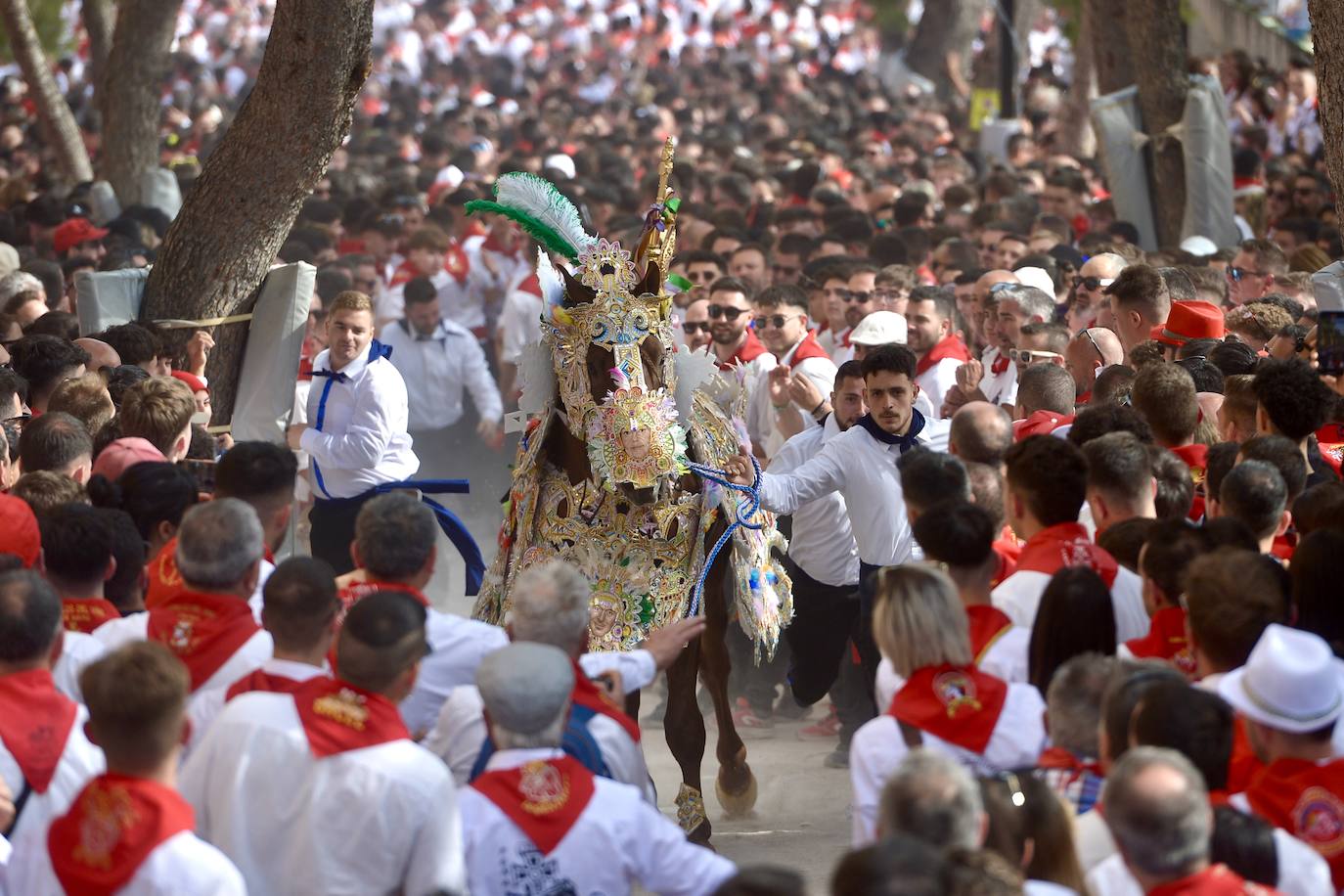 La carrera de los Caballos del Vino, en imágenes