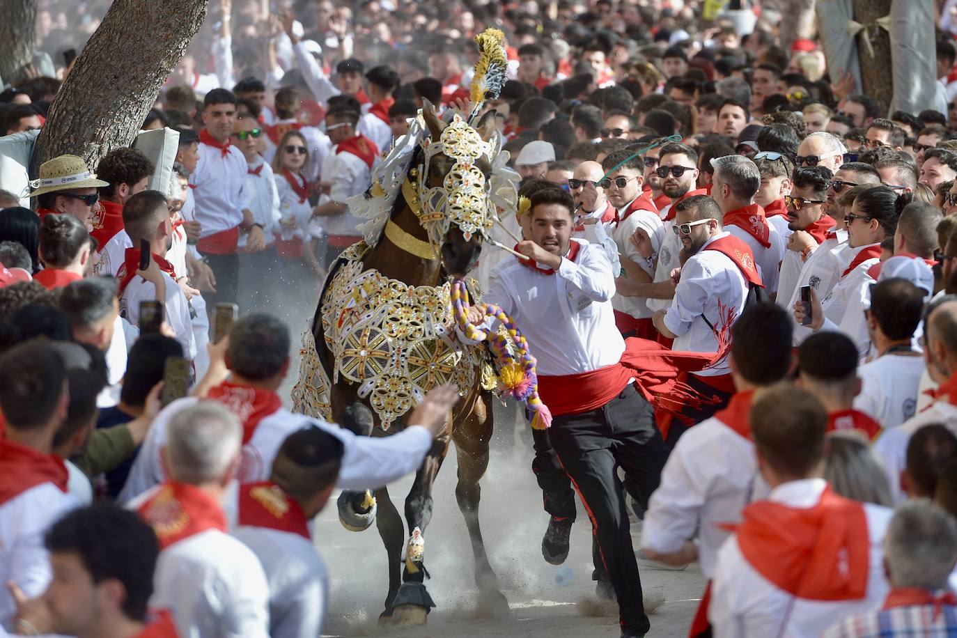 La carrera de los Caballos del Vino, en imágenes