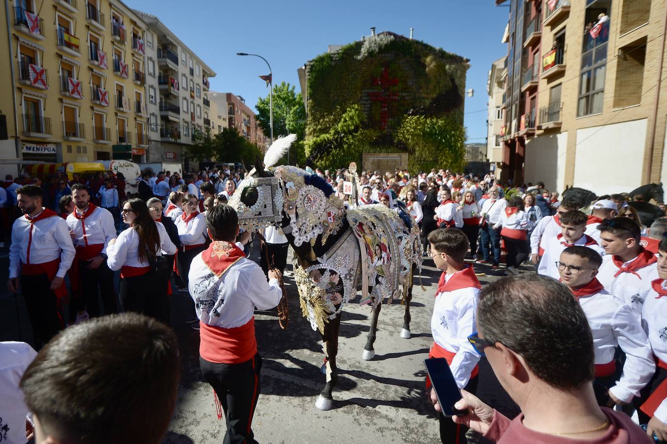 Las imágenes de la marea roja y blanca de los Caballos del Vino de Caravaca