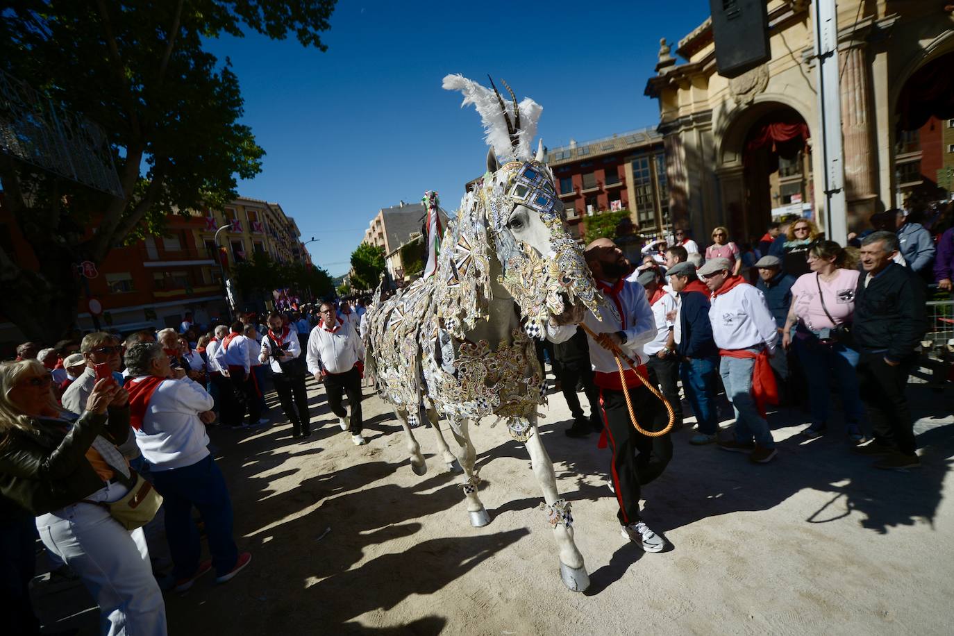 Las imágenes de la marea roja y blanca de los Caballos del Vino de Caravaca