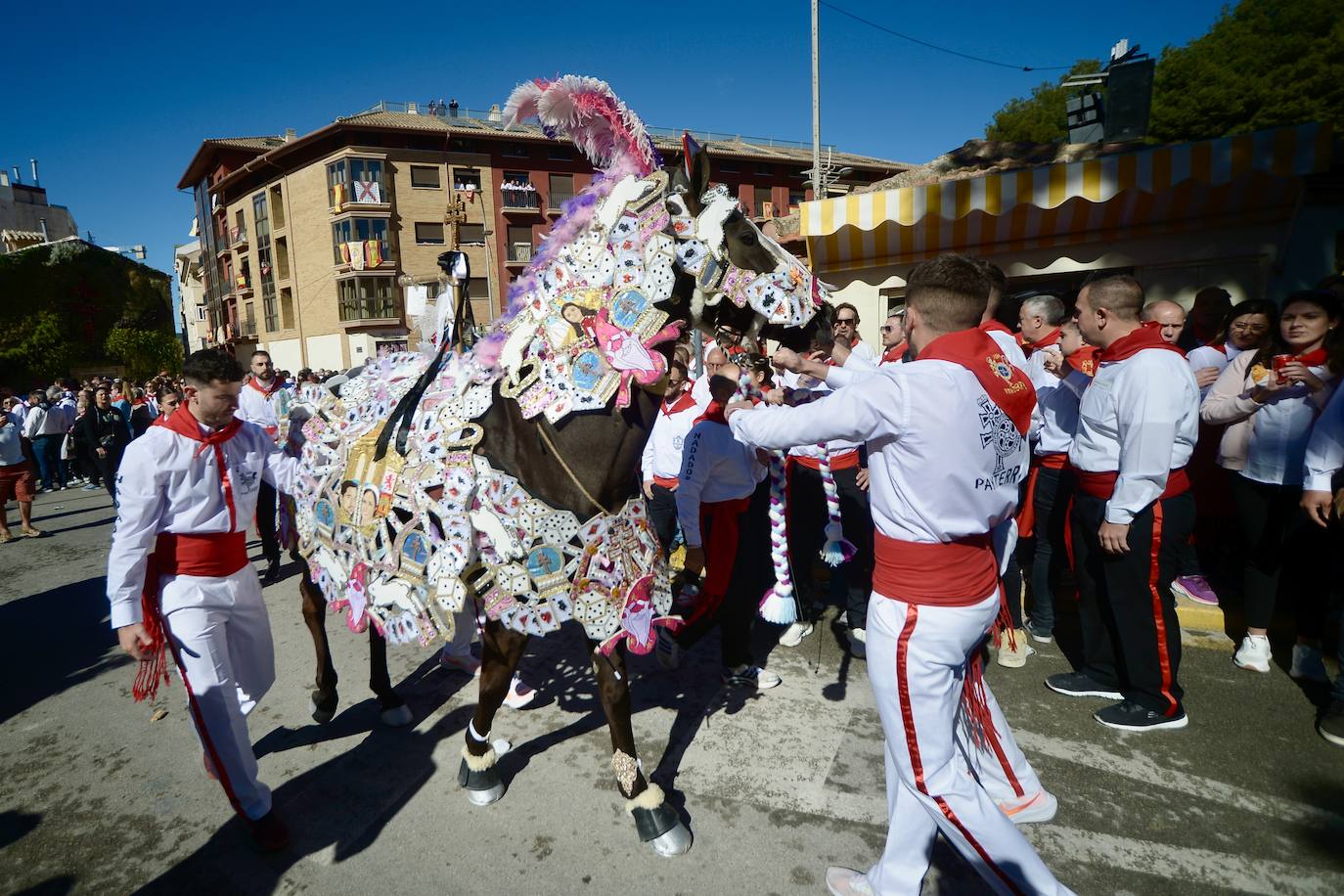 Las imágenes de la marea roja y blanca de los Caballos del Vino de Caravaca