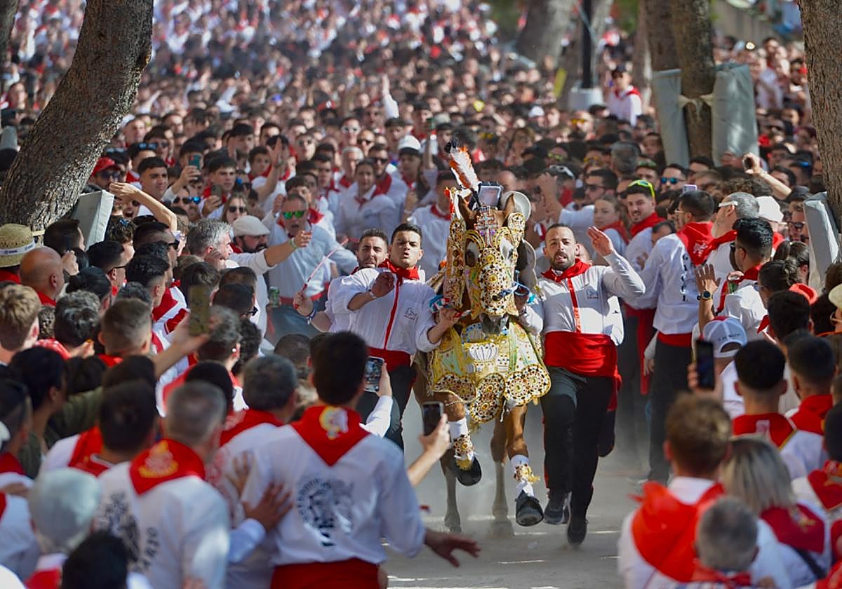 La carrera de los Caballos del Vino, en imágenes