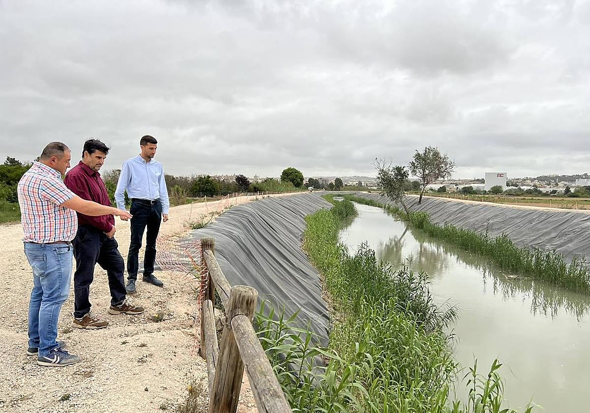 Visita a una de las zoans que se busca recuperar el bosque en el margen del Segura.