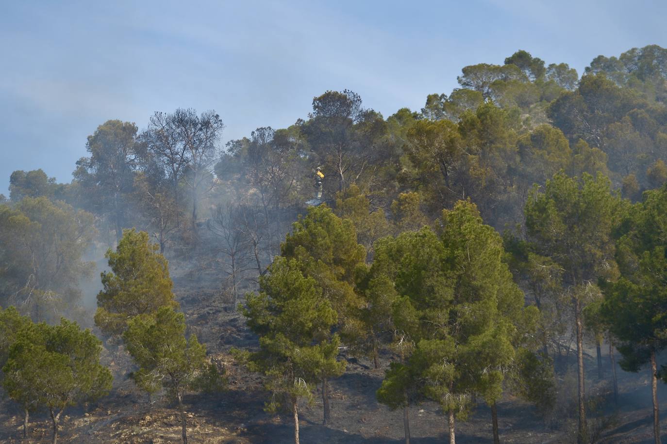 Sofocan un incendio forestal entre San José de la Vega y El Garruchal, en Murcia