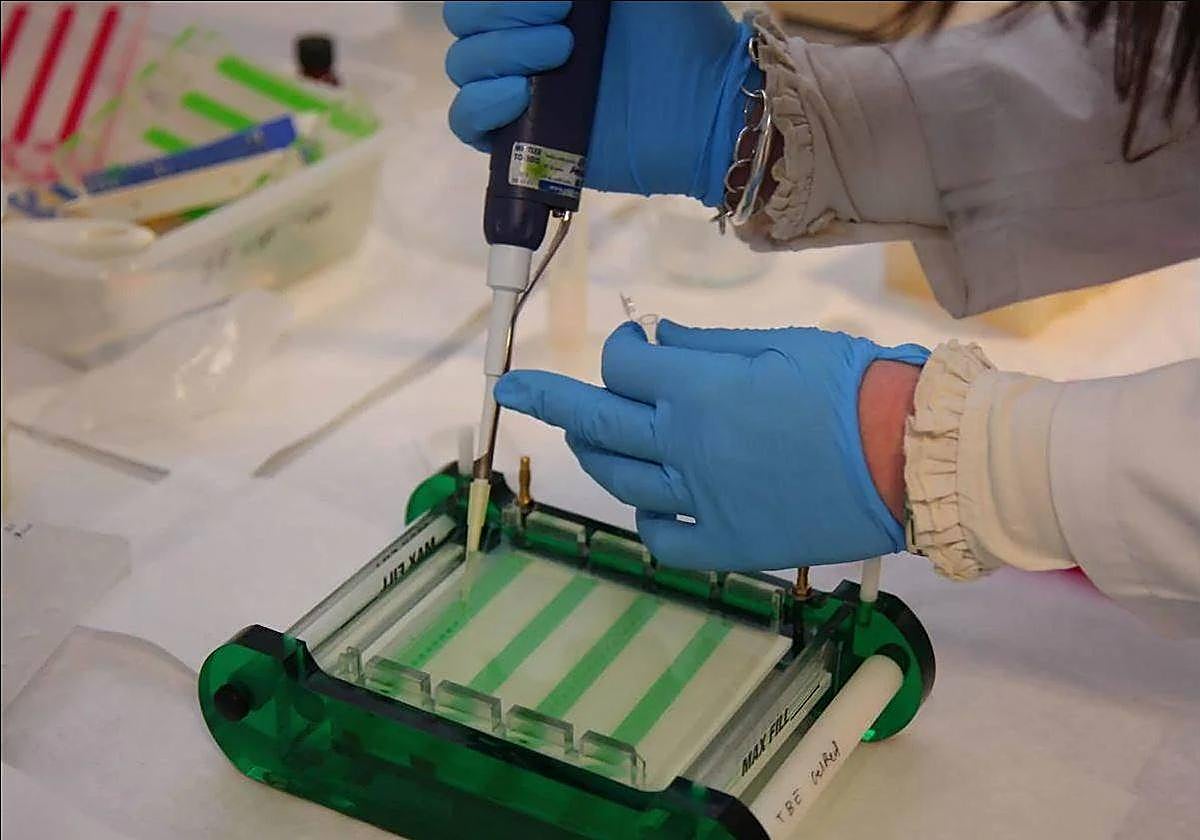 Toma de muestras en el Laboratorio del Instituto de Biotecnología Vegetal de la Universidad Politécnica de Cartagena.