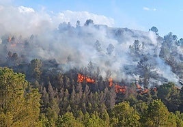 Fuego en la Sierra de San Miguel.