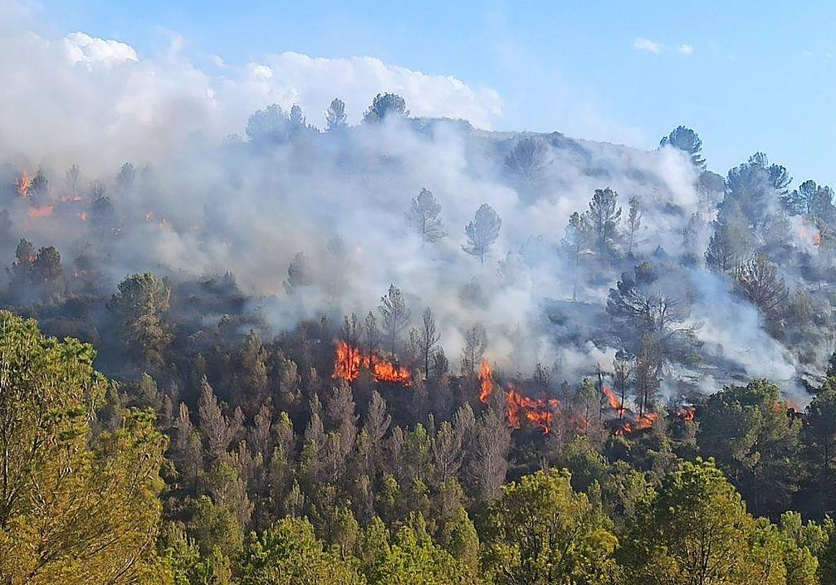 Fuego en la Sierra de San Miguel.