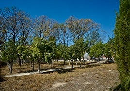 Solar de las dependencias de la piscina de Espinardo donde se prevé construir el nuevo centro cultural del barrio.