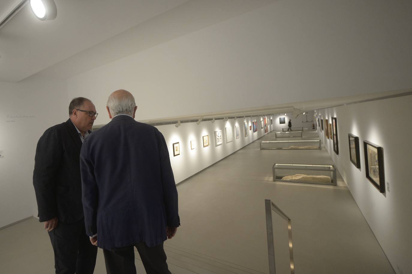 Las imágenes de las nuevas instalaciones de la Fundacion Cajamurcia en Las Claras