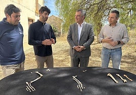 Los responsables del yacimiento muestran los restos de lince ibérico hallados en Quibas.