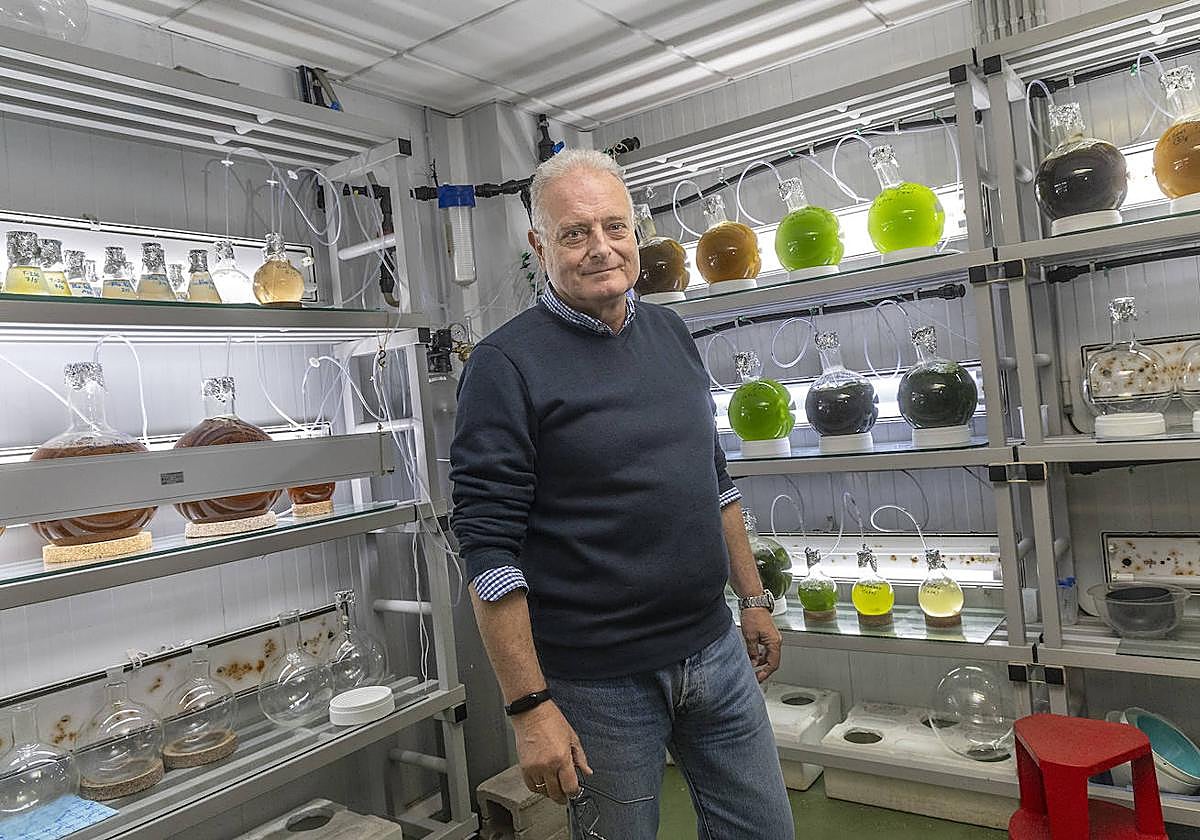 Fernando de la Gándara, en un laboratorio de la planta de cultivos marinos del IEO en Mazarrón.