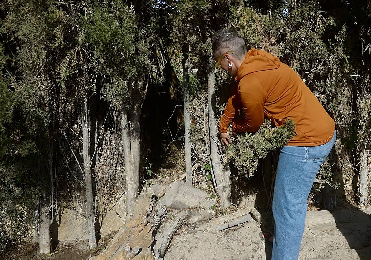 La directora del colegio, Fuensanta Pagán, muestra el agujero hecho en la valla del colegio por donde entran los okupas.