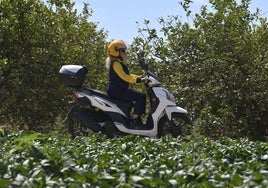 La cartera rural Inma Rodríguez, en un carril de huerta de El Secano, en la pedanía murciana de El Raal.