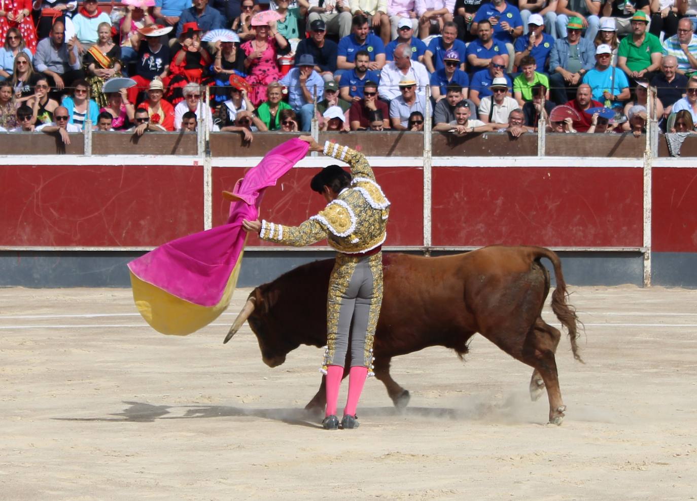 El regreso de los toros a Alcantarilla, en imágenes
