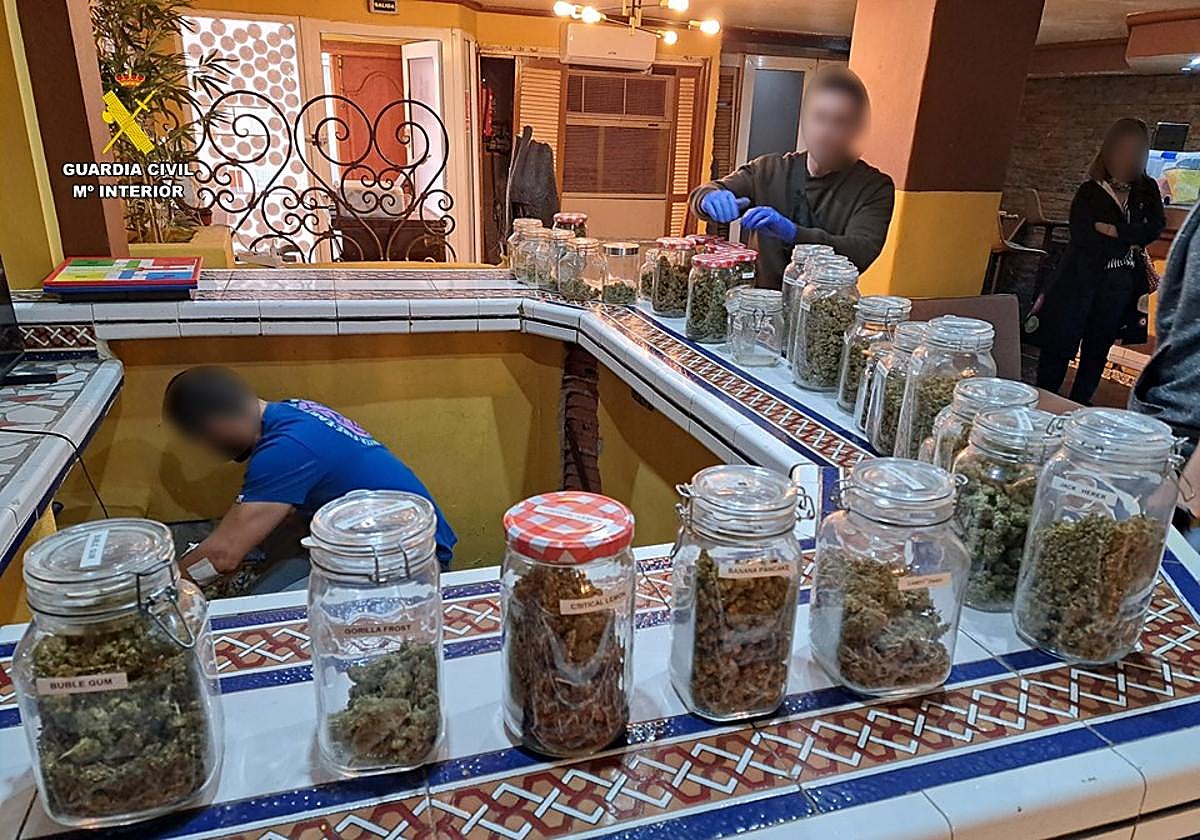 Agentes de la Guardia Civil recaban pruebas en la asociación cannábica de Torrevieja clausurada.