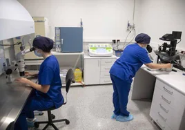 Dos trabajadoras de la clínica cartagenera del Instituto Bernabéu en uno de los laboratorios de reproducción que la firma tiene en la ciudad.